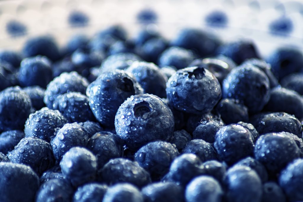 fresh blueberries, plump and low amylose