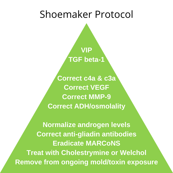 Shoemaker protocol healing pyramid