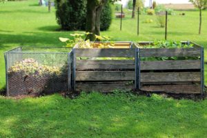 garden compost harbors good mold